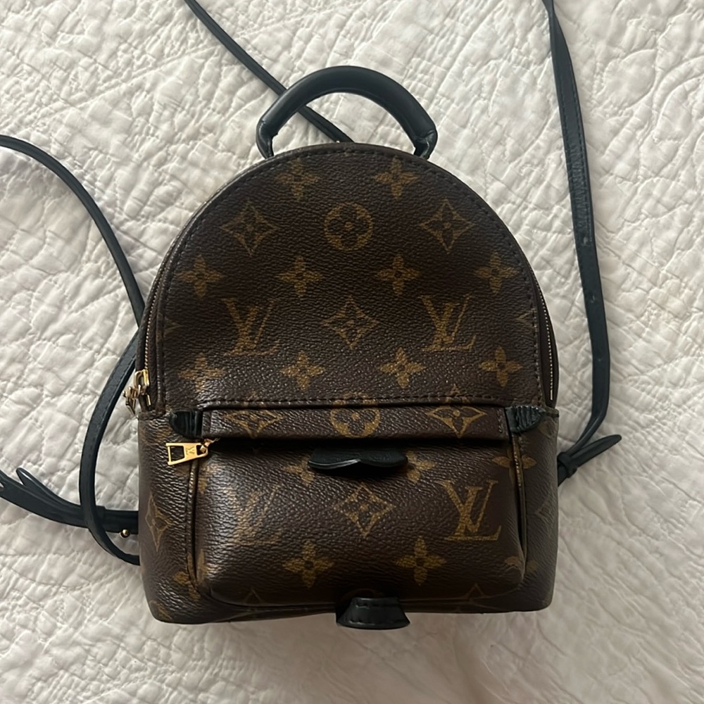 Louis Vuitton Palm Springs Mini
